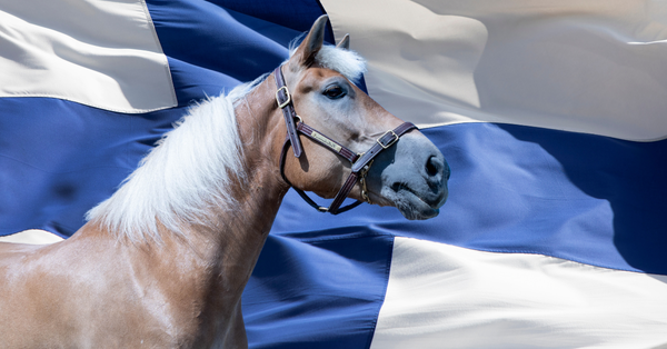 Itsen&auml;isyysp&auml;iv&auml;n&auml; Suomi muistaa sankareitaan