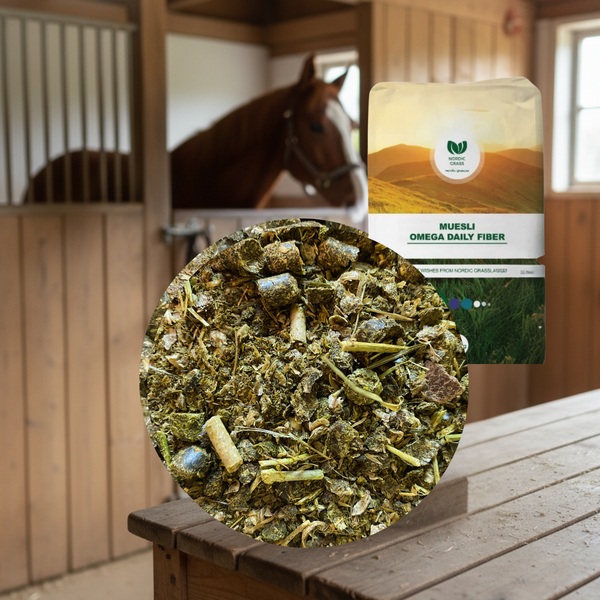 Omega Daily Fiber - mysli n&auml;yte