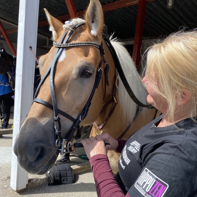 Tamma Hulluduunari nauttii lajityypillisi&auml; Hippuzen rehuja